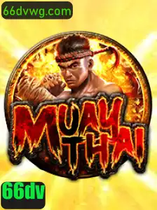 MuayThai: Descubra a Arte e as Regras do Jogo de Combate 66dv